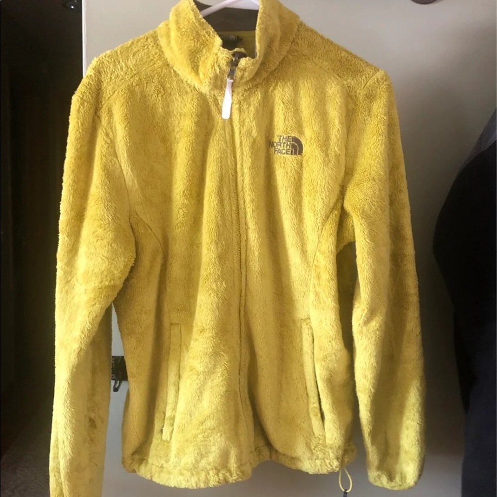 Furry fuzzy North face jacket